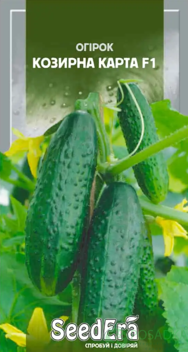 картинка Семена Огурец Козирна карта F1 10шт, SeedEra 