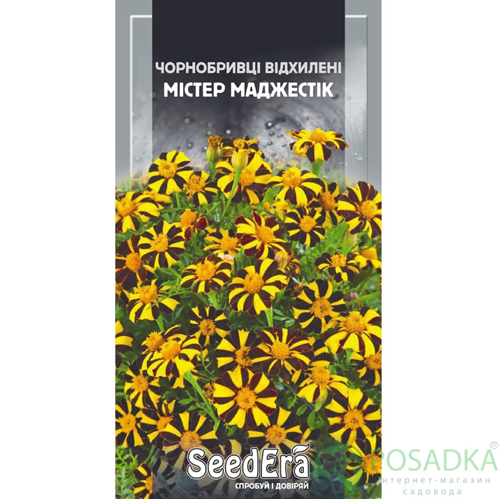 картинка Семена Бархатцы Низкорослые Отклоненные Мистер Маджестик 0,5г, Seedera картинка Семена Бархатцы Низкорослые Отклоненные Мистер Маджестик 0,5г, Seedera