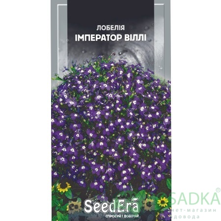 картинка Семена Лобелия Император Вилли 0,1 г Seedera картинка Семена Лобелия Император Вилли 0,1 г Seedera