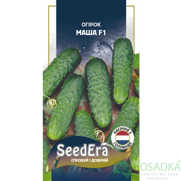 картинка Семена Огурец Маша F1, 10 шт, Seedera Profi 