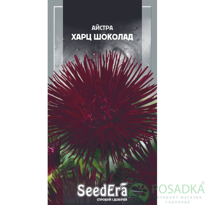 картинка Семена астра Высокорослая Харц Шоколад 0,25г, SeedEra 