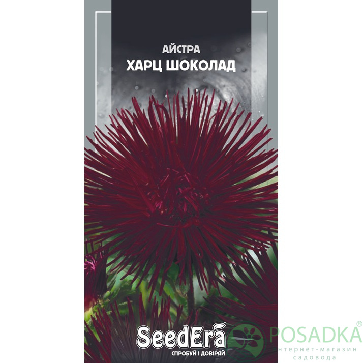 картинка Семена астра Высокорослая Харц Шоколад 0,25г, SeedEra картинка Семена астра Высокорослая Харц Шоколад 0,25г, SeedEra