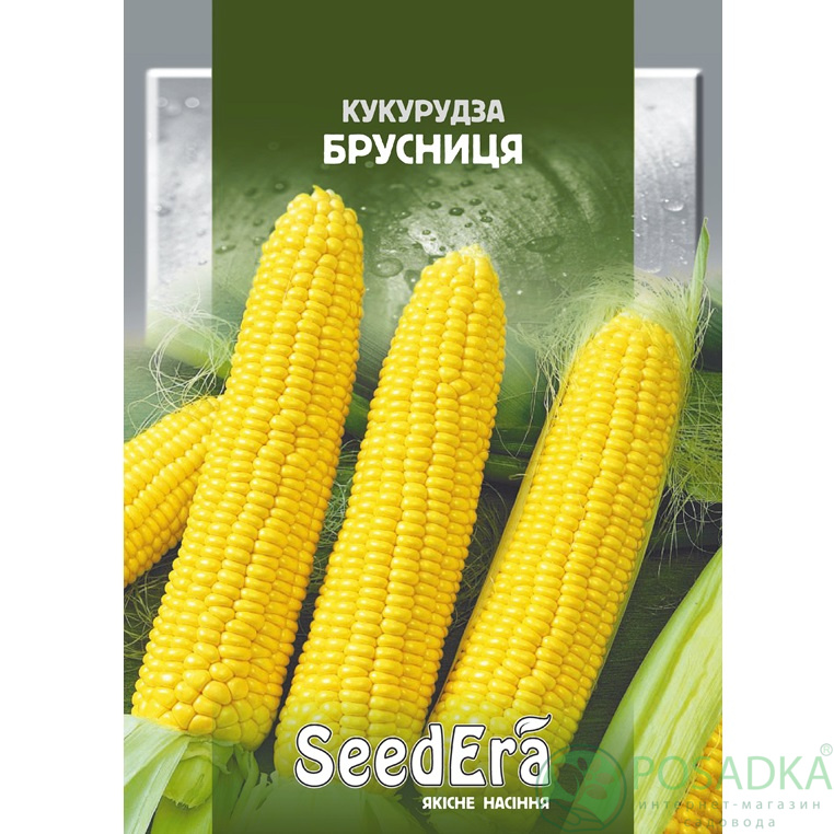 картинка Семена Кукуруза Брусница 20 г, Seedera 