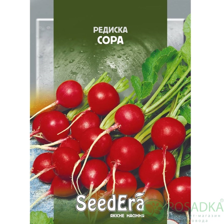 картинка Семена Редис Сора 20г, SeedEra картинка Семена Редис Сора 20г, SeedEra